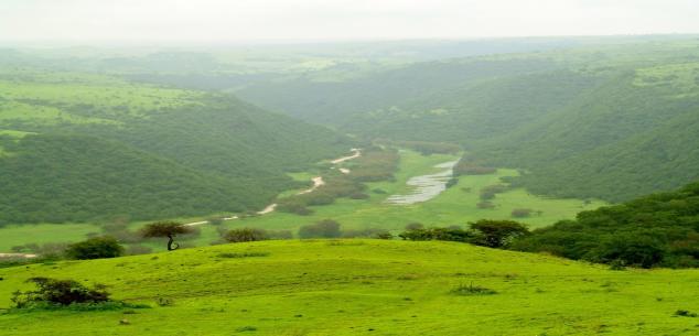 DBreeze Travels  and Tourism LLC UAE. | Enchanting Salalah